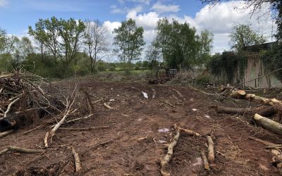 NEWS: Malvern business prosecuted for illegally cutting down protected woodland