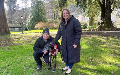 NEWS: Have your say on dog fouling in the Malvern Hills District