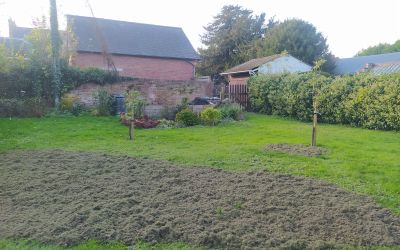 NEWS: Time is running out to apply for community orchard grant