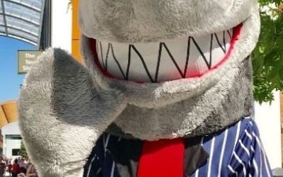 NEWS: Week of action to warn about loan sharks