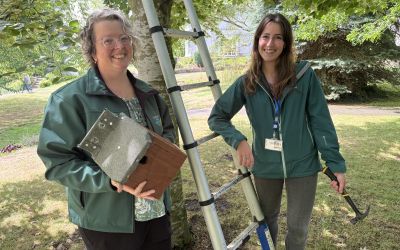 NEWS: Love Parks Week 2025