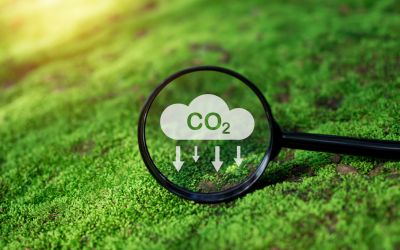 NEWS: Malvern Hills District Council makes progress on carbon reduction plan