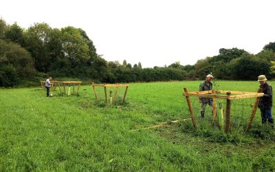 Create a Coronation Community Orchard with new tree planting grant