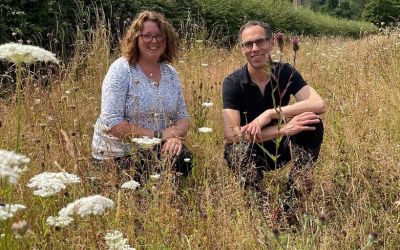Council to transform verges and open spaces with new wildflower project
