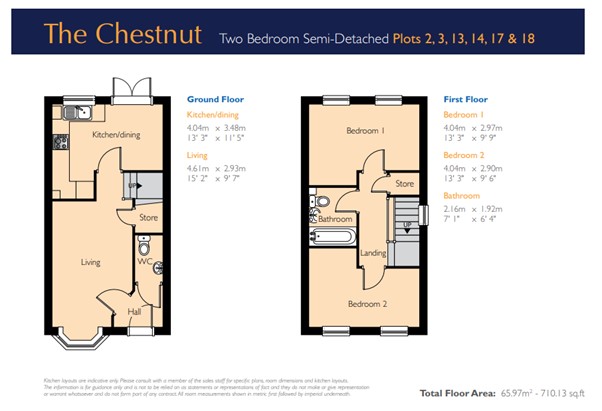 Chestnut floor plan- Rooftop Housing Development