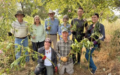 NEWS: New meadow restoration project to boost nature recovery and volunteer opportunities