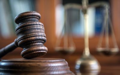 NEWS: Timber company fined for pollution breaches